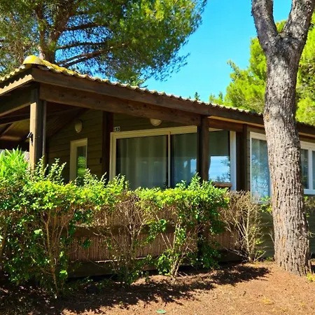 Chalet Et Pins