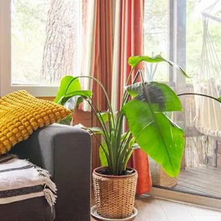 Alpstuga Et Pins Agde